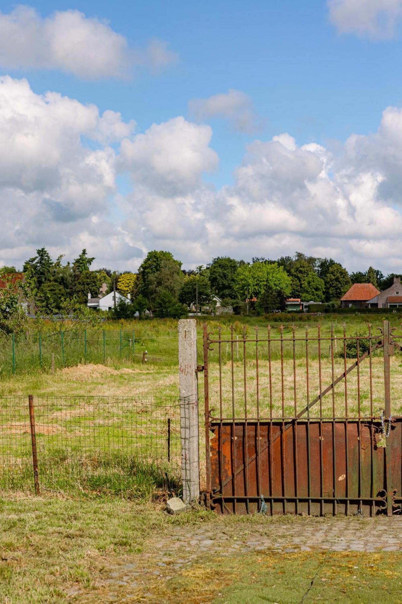 Rustic In The Countryside